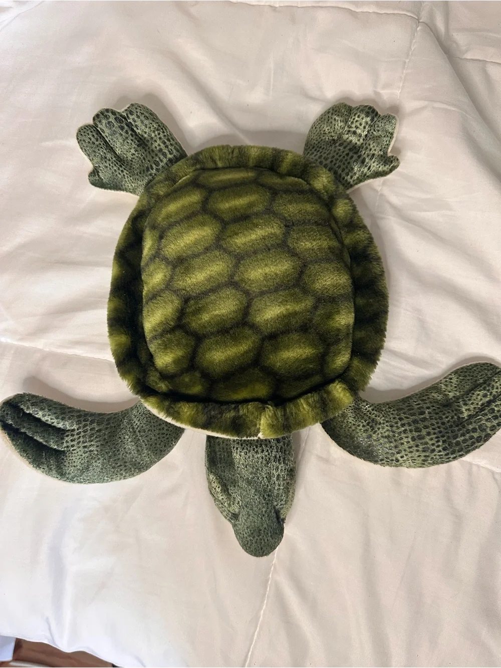 Fiesta Green Sea Turtle Plush Stuffed Animal Toy (#Y40883)